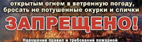 Пал сухой травы очень опасен!